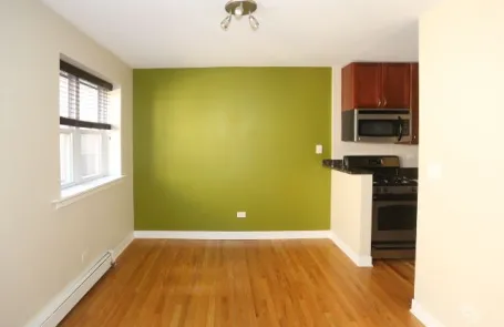 1 Bedroom Lincoln Park Apartment
