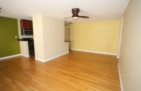 1 Bedroom Lincoln Park Apartment