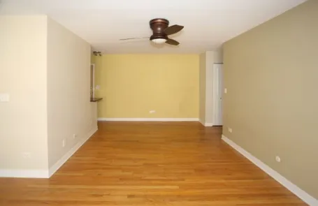 1 Bedroom Lincoln Park Apartment