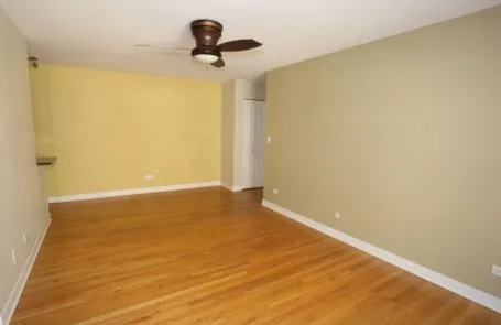 1 Bedroom Lincoln Park Apartment