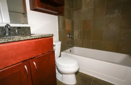 1 Bedroom Lincoln Park Apartment
