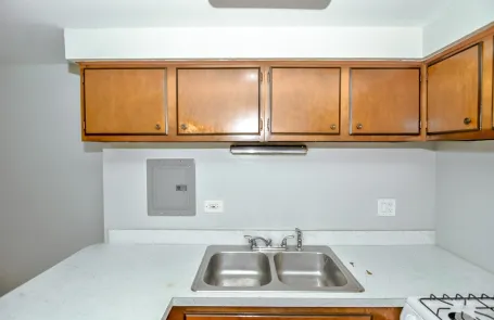Studio Lincoln Park Apartment