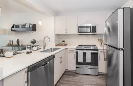 3 Bedroom Lakeshore East Apartment