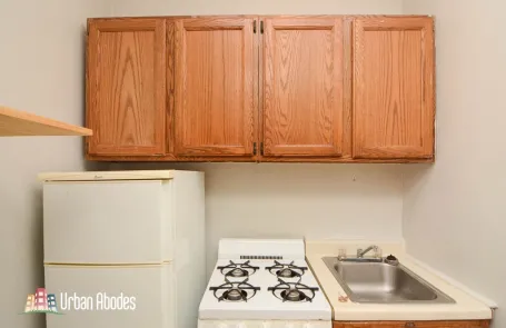 Studio Lakeview Apartment