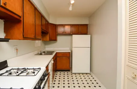 1 Bedroom Lincoln Park Apartment