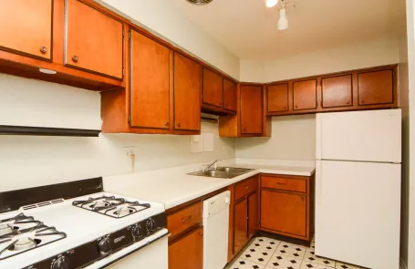 1 Bedroom Lincoln Park Apartment
