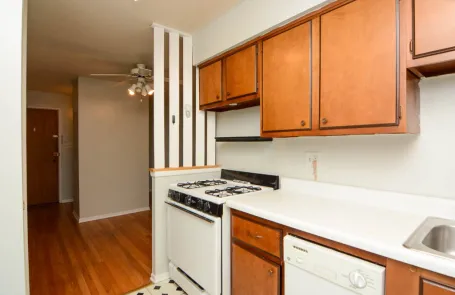 1 Bedroom Lincoln Park Apartment