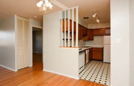 1 Bedroom Lincoln Park Apartment