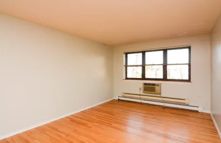 1 Bedroom Lincoln Park Apartment
