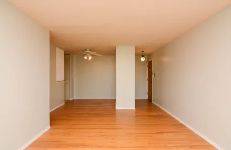 1 Bedroom Lincoln Park Apartment
