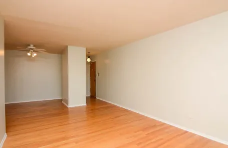 1 Bedroom Lincoln Park Apartment