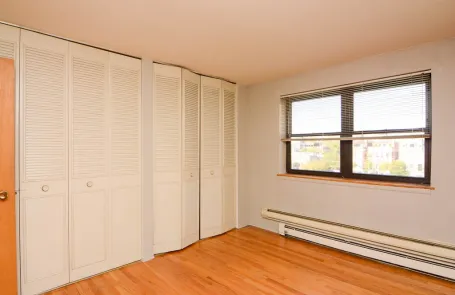 1 Bedroom Lincoln Park Apartment