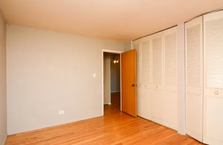 1 Bedroom Lincoln Park Apartment