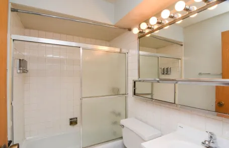 1 Bedroom Lincoln Park Apartment