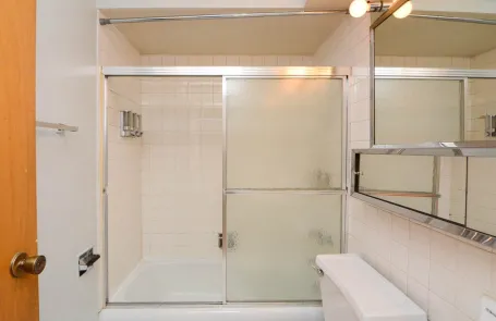 1 Bedroom Lincoln Park Apartment