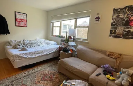 Studio Lakeview Apartment