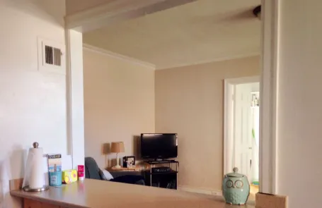 1 Bedroom Lincoln Park Apartment