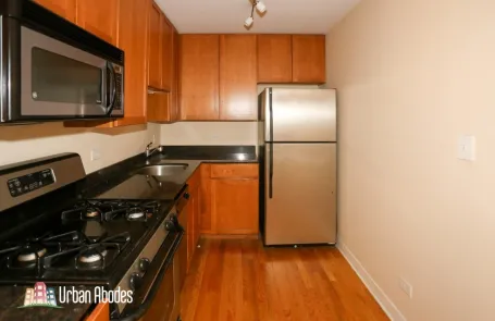 1 Bedroom Lincoln Park Apartment