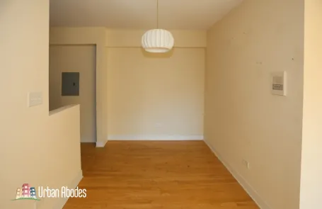 1 Bedroom Lincoln Park Apartment