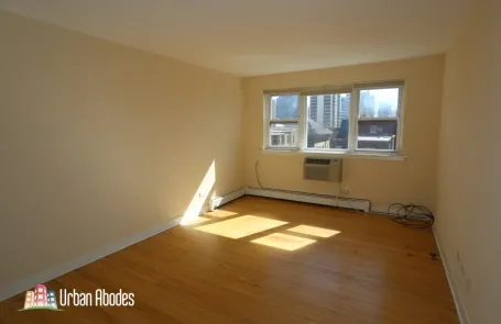 1 Bedroom Lincoln Park Apartment