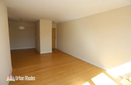 1 Bedroom Lincoln Park Apartment