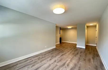 1 Bedroom Lakeview Apartment