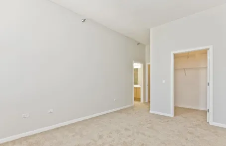 3 Bedroom South Loop Apartment