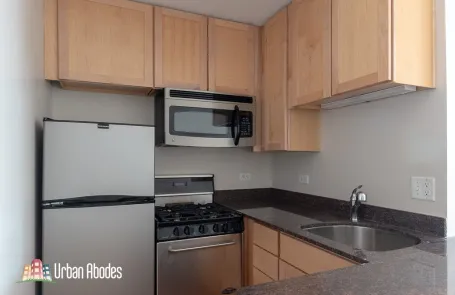 Studio Lincoln Park Apartment
