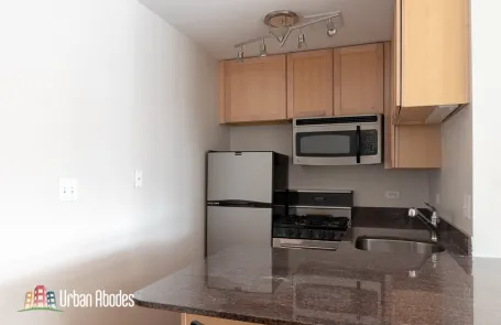 Studio Lincoln Park Apartment