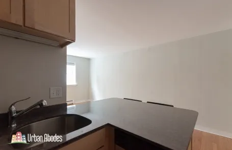 Studio Lincoln Park Apartment