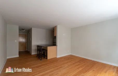 Studio Lincoln Park Apartment