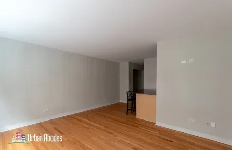 Studio Lincoln Park Apartment
