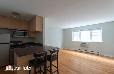 Studio Lincoln Park Apartment
