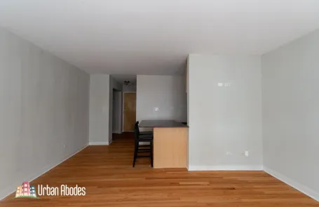 Studio Lincoln Park Apartment