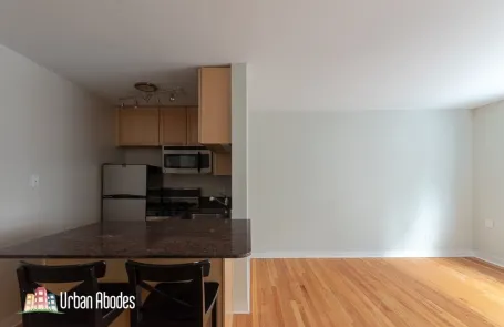 Studio Lincoln Park Apartment