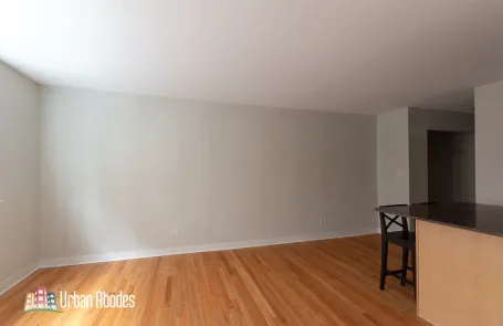 Studio Lincoln Park Apartment