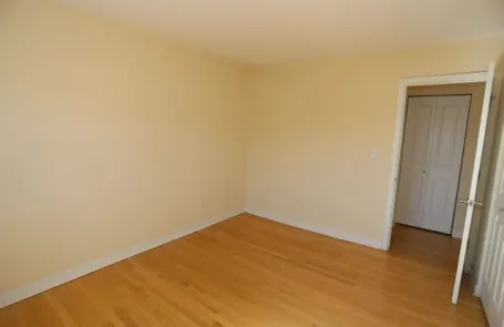 1 Bedroom Lincoln Park Apartment