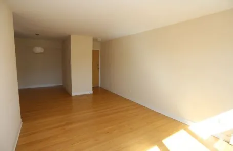 1 Bedroom Lincoln Park Apartment