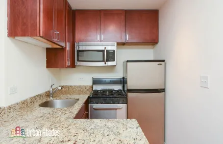Studio Lincoln Park Apartment
