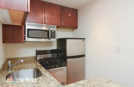 Studio Lincoln Park Apartment