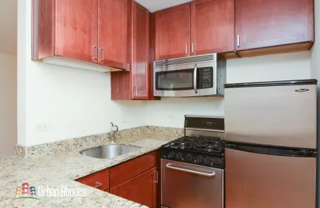 Studio Lincoln Park Apartment