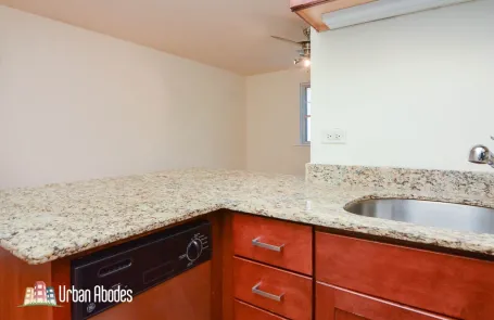 Studio Lincoln Park Apartment