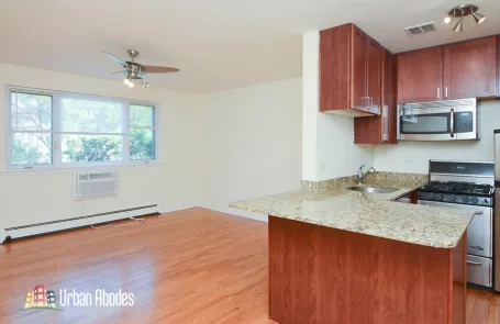 Studio Lincoln Park Apartment