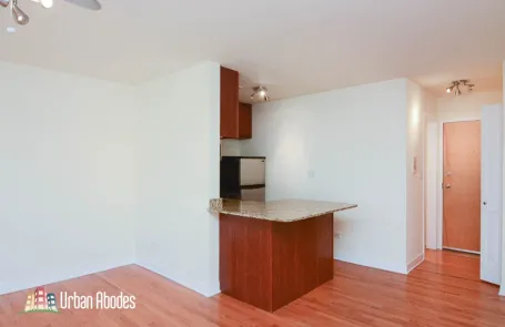 Studio Lincoln Park Apartment