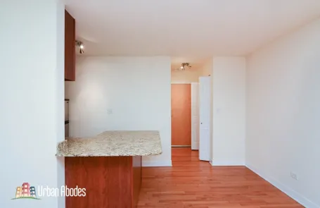 Studio Lincoln Park Apartment