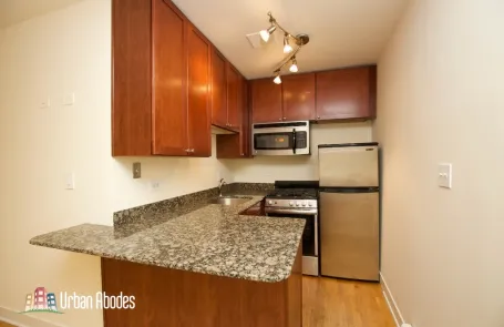 Studio Lincoln Park Apartment