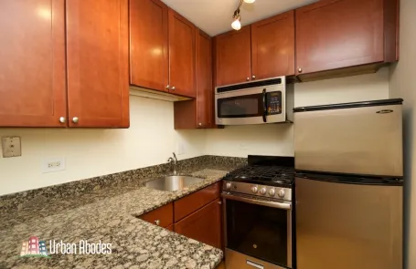 Studio Lincoln Park Apartment