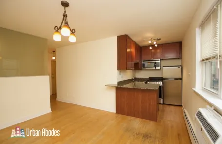 Studio Lincoln Park Apartment