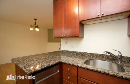 Studio Lincoln Park Apartment