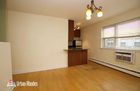 Studio Lincoln Park Apartment